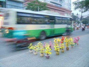 The symbol of Tet, yellow flowers, for sale on the side of a busy road.